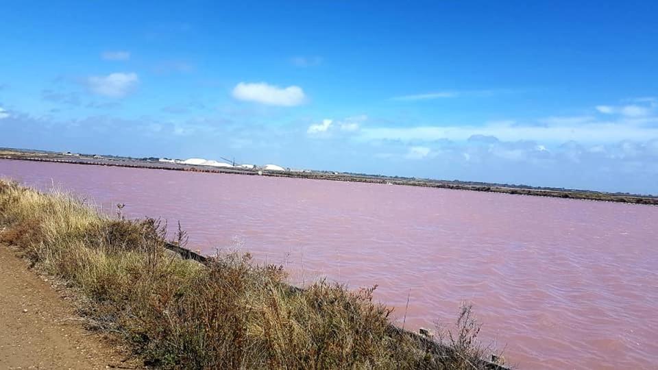 Vue Imprenable Sur Le Port, Proche Plages ! Lägenhet La Grande Motte Exteriör bild
